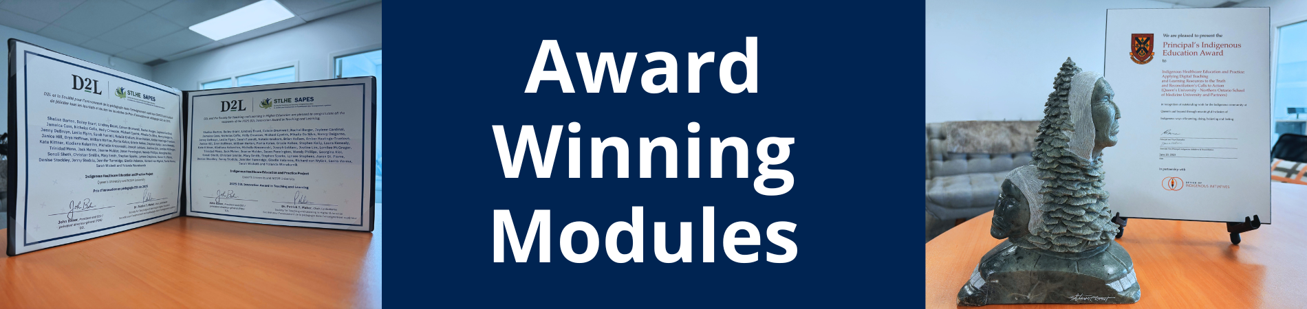 Award Winning Modules
